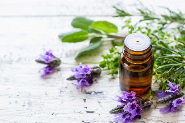 オフィス×アロマで職場はどう変わる？生産性を高める空間づくりの新常識